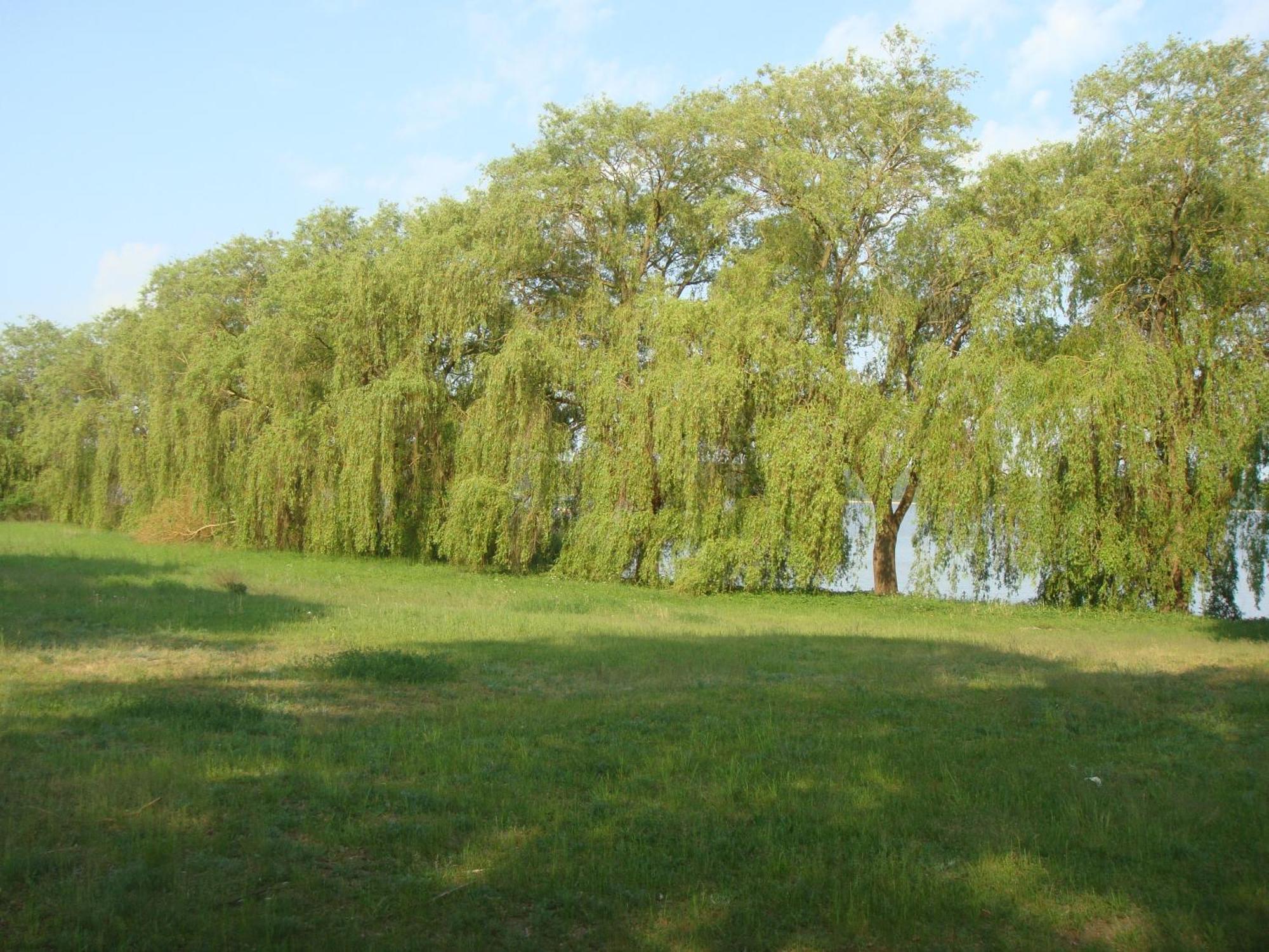 Hotel Am Wariner See Zewnętrze zdjęcie